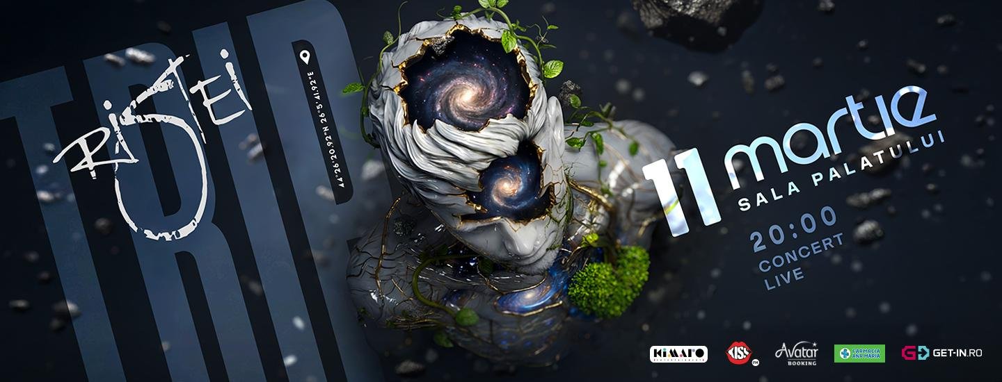 Florin Ristei - slider 2026-02-18 19:25:58